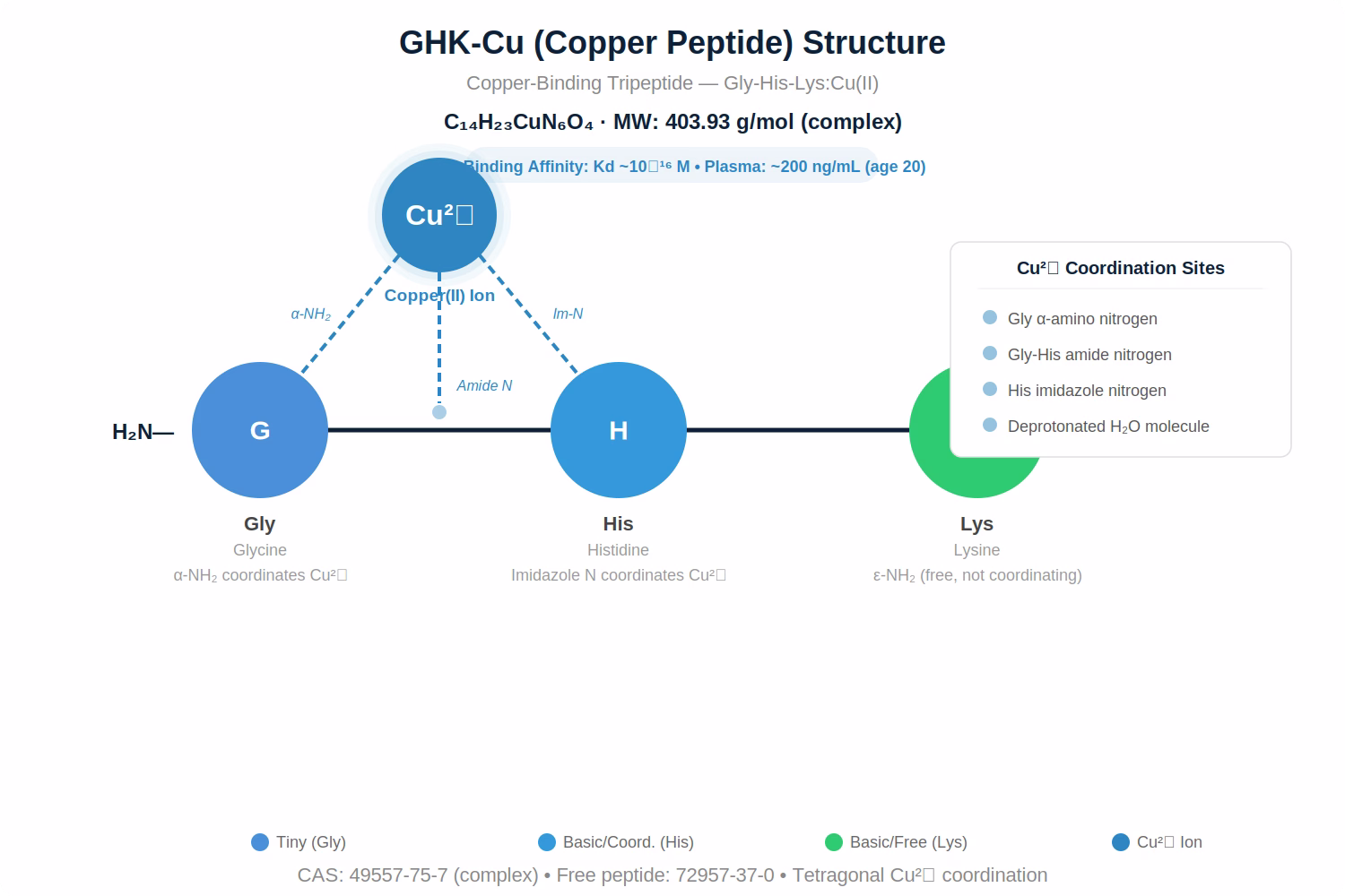 GHK-Cu Amino Acid Sequence Diagram