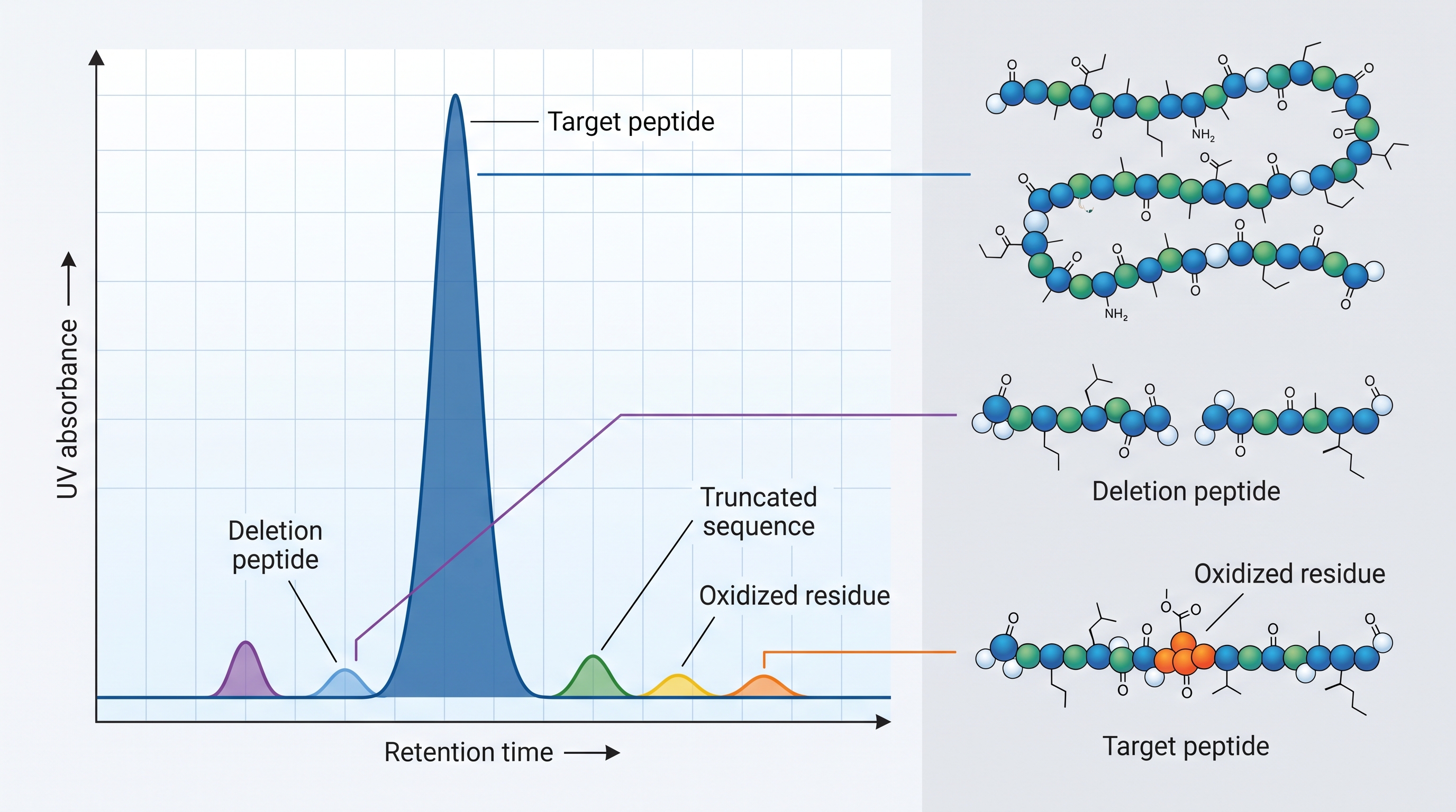 HPLC chromatogram showing peptide purity analysis for laboratory research quality control